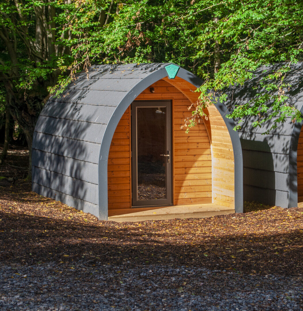 your camp image